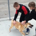 kim staats - @stowkim - Twitter