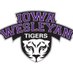 Iowa Wesleyan Men’s Soccer (@TigerMSoccer) Twitter profile photo