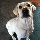 Allison Dodd - @allisondodd404 - Twitter