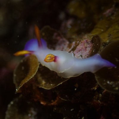 VMRcX5tFIz5cJg4's profile picture. 印刷できん