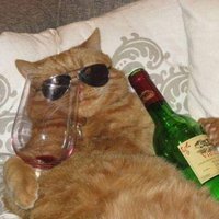 mel (@venuzbaith) 's Twitter Profile Photo mel (@venuzbaith) 's Twitter Profile Photo