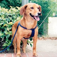 さんきち📷️ (@sun_kichi) 's Twitter Profile Photo