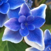 Kindness Matters (@seniorservicebc) 's Twitter Profile Photo Kindness Matters (@seniorservicebc) 's Twitter Profile Photo