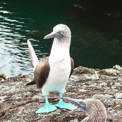 Nali74653981's profile picture. キレイな景色、スペイン、イタリア、ガラパゴス諸島、旅行好き。美味しいもの大好き😍サッカー好き。読書。週末家族と美味しいおつまみで🍷が楽しみ。無言フォロー失礼します。二児の母。
最近懸賞応募始めました！心をこめて当選報告します🍀懸賞垢の無言フォロー大歓迎です😌宜しくお願いします🌸アイスの実アンバサダー