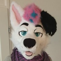 π~Bruce~π (@bruce_tshd) 's Twitter Profile