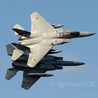 T_fighter's profile picture. 飛行機と船の写真を撮ってます。