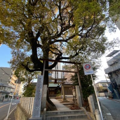 市川八幡神社や市川駅周辺の不動産情報などを呟きます/2020年に市川駅の新築マンション購入/専門は物流・まちづくり/市川⇄新橋