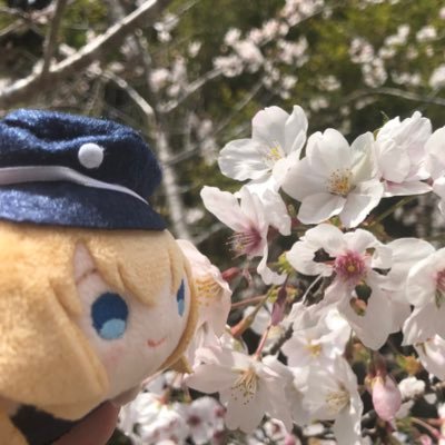 🦀ワタリガニ🦀♪ ≧( ＾ω＾)≦ ｶﾆ!! (KANI)さんのプロフィール画像