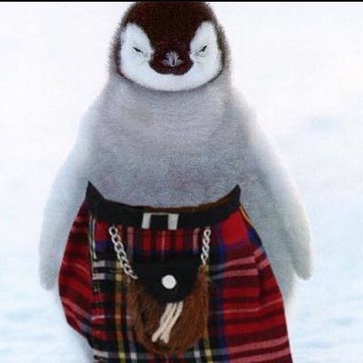 Andy mackenzieさんのプロフィール画像