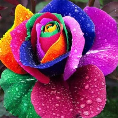 tiedtheknot's profile picture. Living in Dublin, Ireland and kicking some fun out of life with hubby and 2 kids! Massive #F1 fan 🏁 #Eurovision nut too