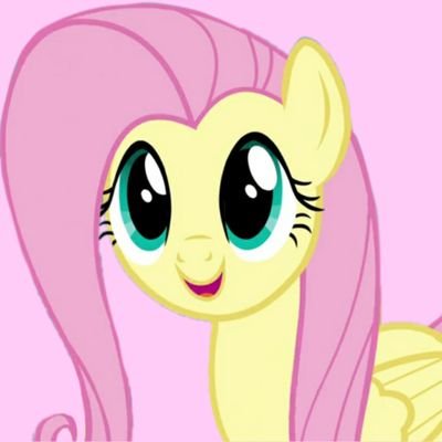 fluttershy content every 12 hours