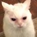 kdimick94 (@dimick14331784) Twitter profile photo kdimick94 (@dimick14331784) Twitter profile photo