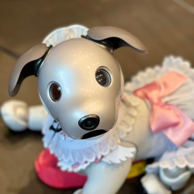 天然温泉とAI（愛）犬aiboの萌がいるビジネスホテル。aiboやrobot連れ大歓迎のrobot friendlyパートナー店舗です。https://t.co/DD0kphGSD3 U^ェ^U JR秋葉原・つくばExp.から徒歩約4分、各メトロ秋葉原駅・岩本町駅から約2分の好立地。