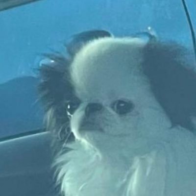 glazedcoconut's profile picture. ready to burst into tears at any given moment