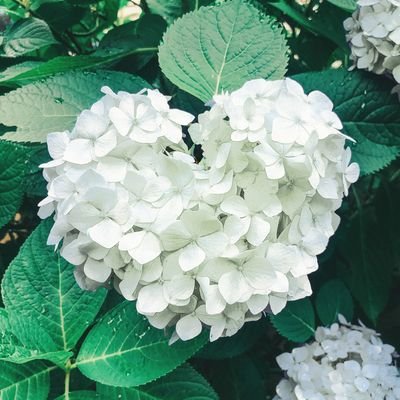 NEWS大好き💜💛💚増田さん大好き💛 増田さんの歌声、ダンス、お芝居、笑顔、フォルム、人柄、考え方、増田さんの全部が大好き💕 無言フォロー失礼します🙏無言フォロー🆗です。気軽にお声掛けていただけたら嬉しいです😊
