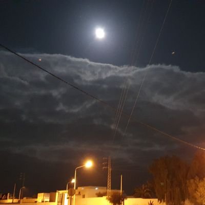 faouzzz's profile picture. 