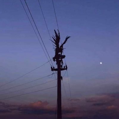 irishfusion42's profile picture. 