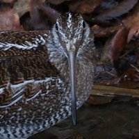 jm1999 (@jm199912) 's Twitter Profile