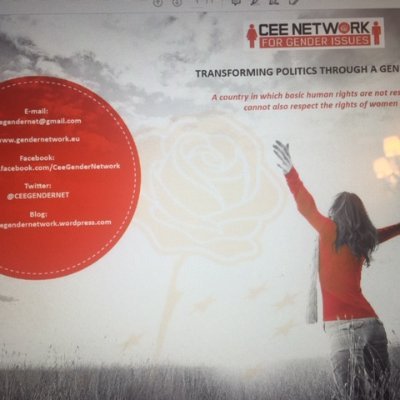 CEE GENDER NETWORK Profile