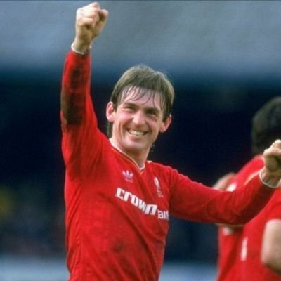 stelwinter's profile picture. 