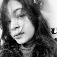 Phyu Sin Lin (@linvsin) 's Twitter Profile