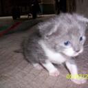 Alan Harmon - @CAHarmon - Twitter