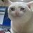 BrokeSatoshiN's profile image