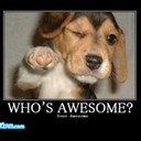 Tess Harmon - @CheerChick41797 - Twitter