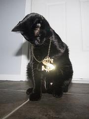 gilmoregorl's profile picture. mostly nerding out with emojis // opinions are my own