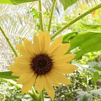 . (@cxcbl4ktxgxugfj) Twitter profile photo