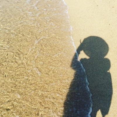 透子さんのプロフィール画像