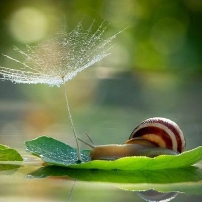 yaa_tokyo's profile picture. 