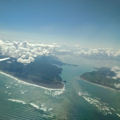 whitefangfang's profile picture. 不知天南地北