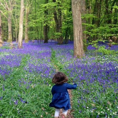 Yolanda Cerdá Profile