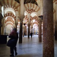 Elisa Tasca (@elisatasca) 's Twitter Profile