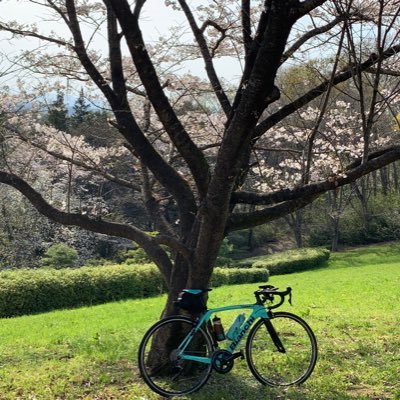 アラフィフ 基本ぼっちライダー ロード歴2年半 Oltre xr3 Impulso ZwiftとMarinos好き 無言フォローすみません