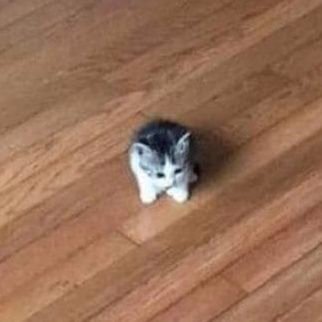 aeb_notme's profile picture. Helloo~
She/Her