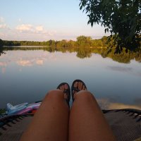 Laura Mount (@lauramount7) 's Twitter Profile