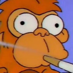 D_Bobcat5's profile picture. 