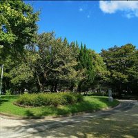 そう🐣@同志社グリークラブ (@jan_pali_1212) 's Twitter Profile
