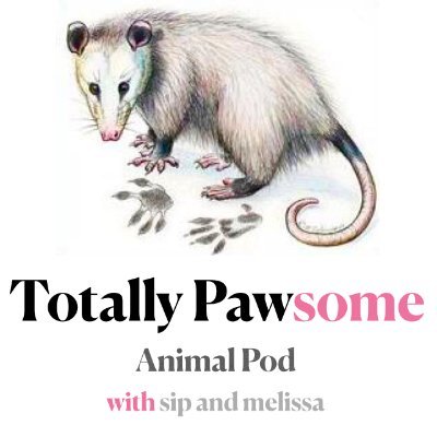 Dr. Sip & Melissa are profane pet professionals who will intersect real life controversial issues pet parents face with after-dark topics, like fish orgies.