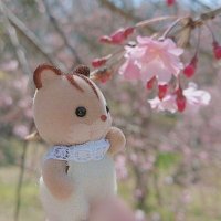 にゃも (@nyamodeath) 's Twitter Profile