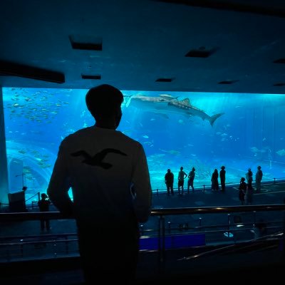 蓮 4月から東海大学海洋学部海洋生物学科です フォローお願いします 春から東海 春から東海大学 清水キャンパス 蓮 4月から東海大学海洋学部海洋生物学科です フォローお願いします 春から東海 春から東海大学 清水キャンパス