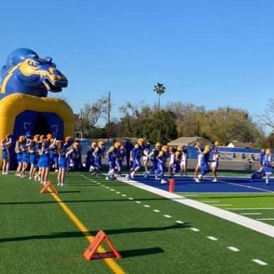 DP Bronco Football Profile