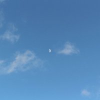 Philippe Herboschᅠ (@pherbosch) 's Twitter Profile Photo Philippe Herboschᅠ (@pherbosch) 's Twitter Profile Photo