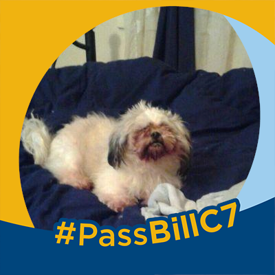 e4d15ae223e4442's profile picture. hey yall! I'm Trisha! im a loyal fan of General Hospital!!! I'm also a Canadian scorpio :-)