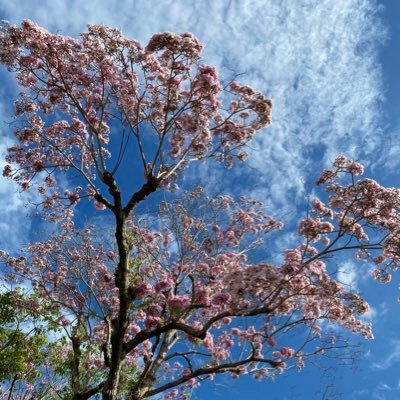 Lafitya's profile picture. F&F's mother•general practitioner•photography learner•parttime writer•book lover•life traveler :)