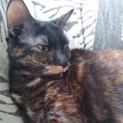 _isabela_h__'s profile picture. 