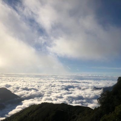 xgxg41154792's profile picture. 