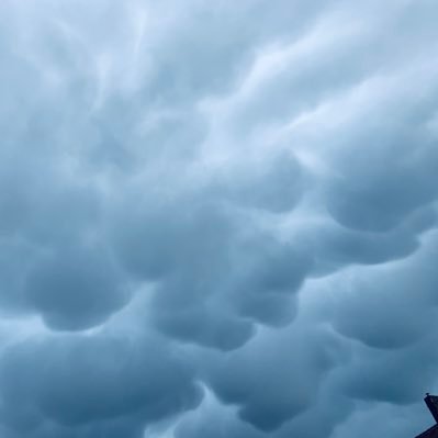 NcMhlr's profile picture. 